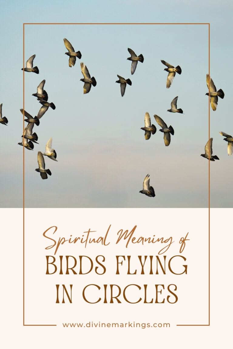 Spiritual Meaning of Birds Flying in Circles: Exploring the Symbolism and Significance