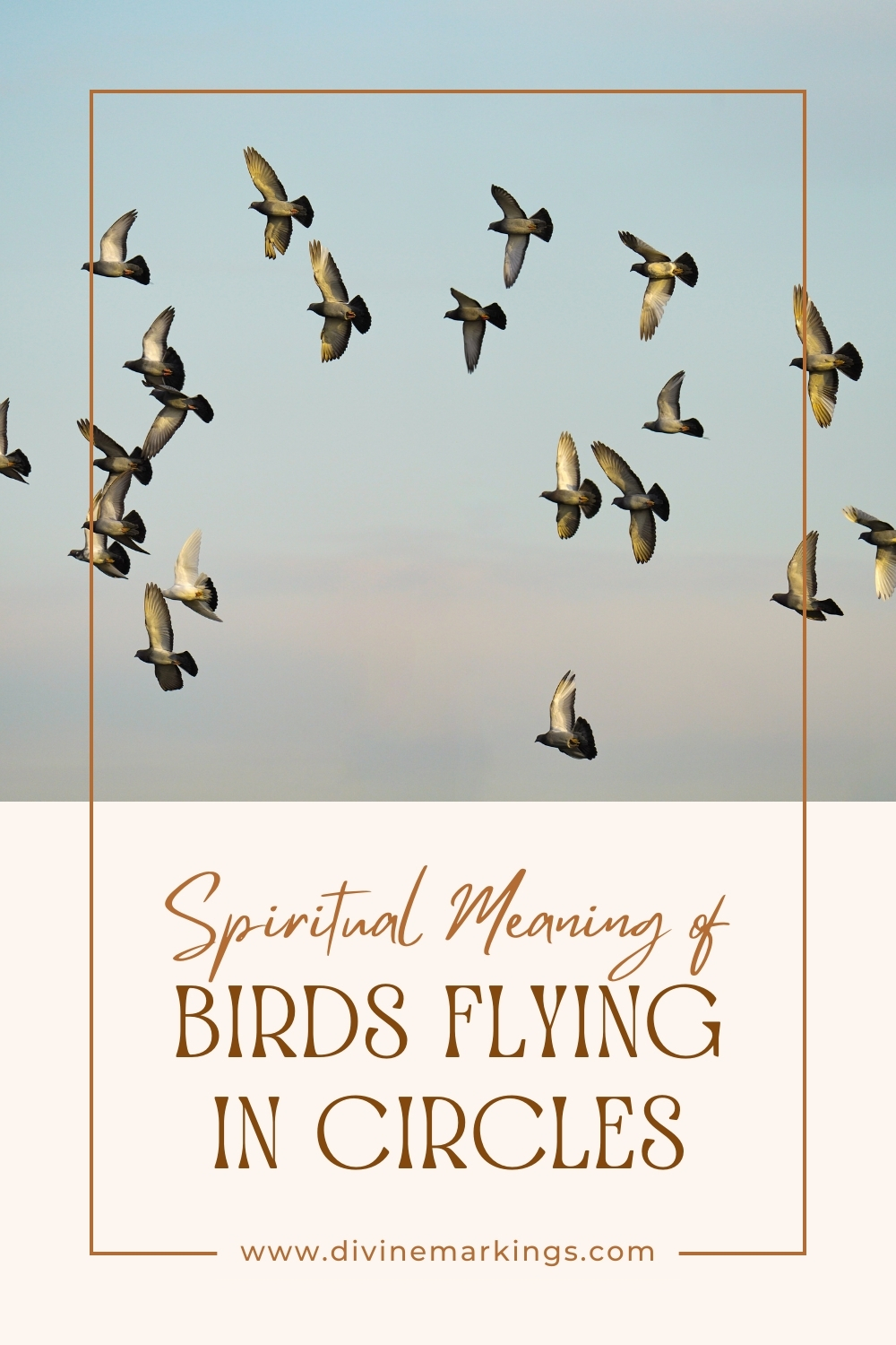 Spiritual Meaning of Birds Flying in Circles