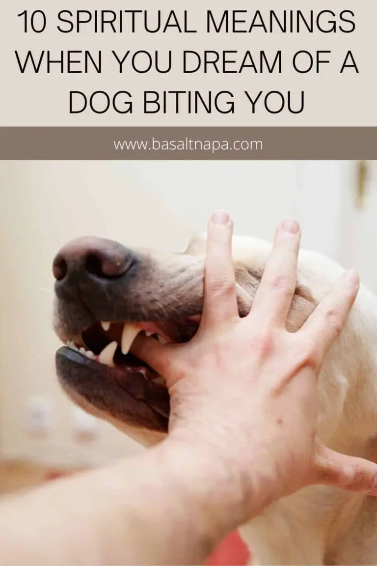 Spiritual Meaning of Dog Bite on Right Hand
