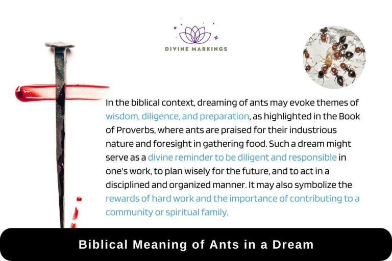 Biblical Meaning of Ants in Dreams