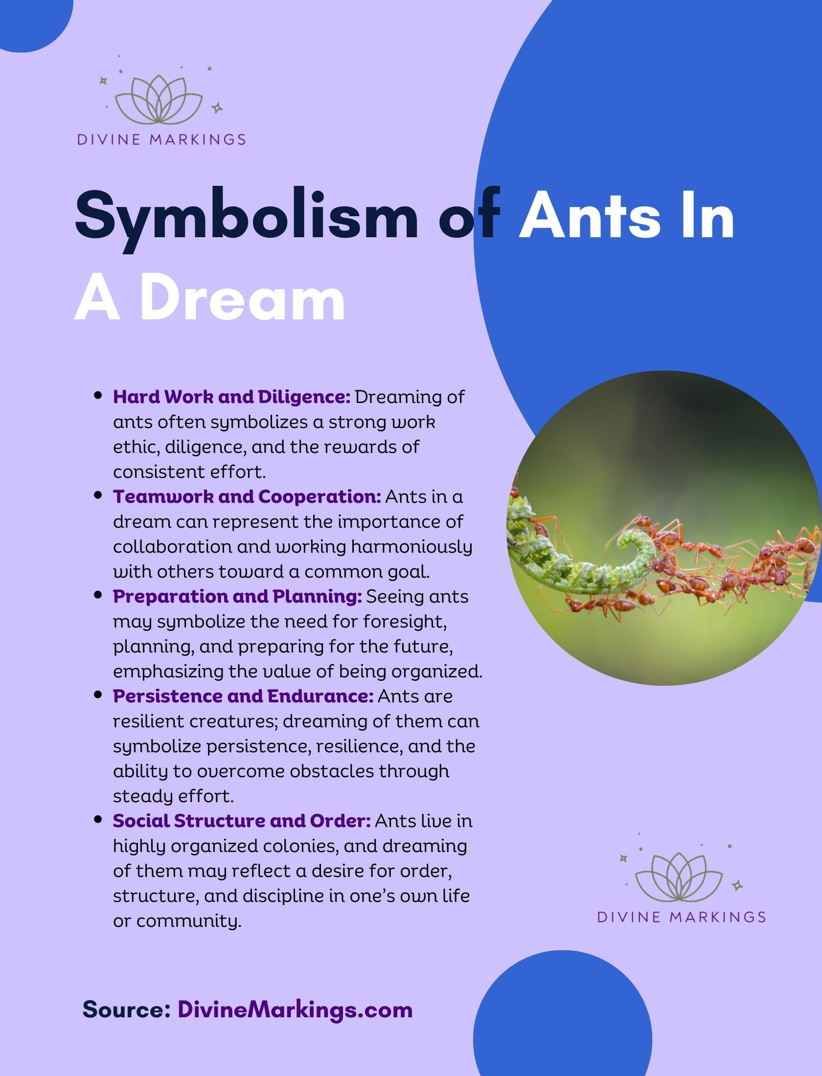 Symbolism of Ants In A Dream Infographic