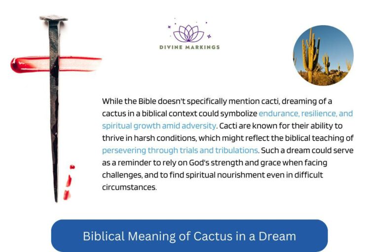 Biblical Meaning of Cactus in Dream