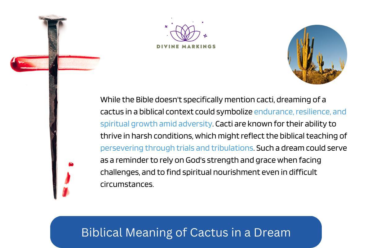 Biblical Meaning of Cactus in a Dream