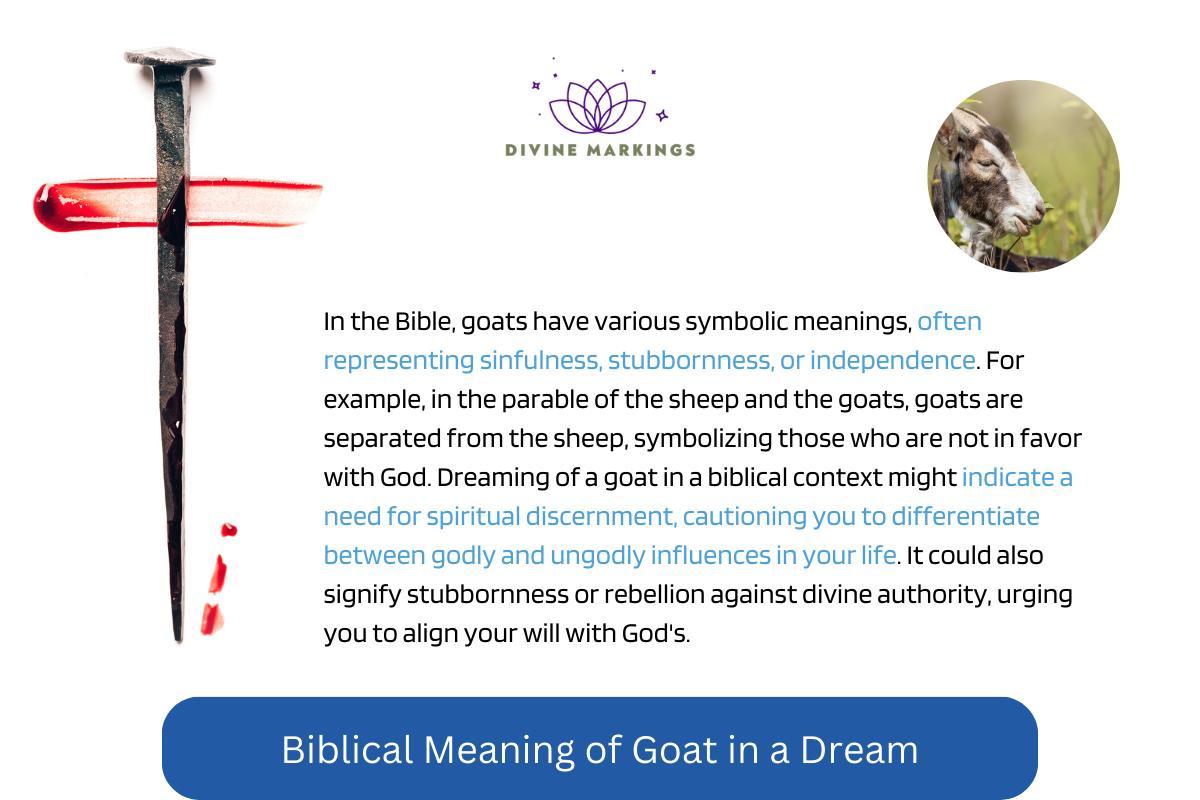 Biblical Meaning of Goat in The Dream