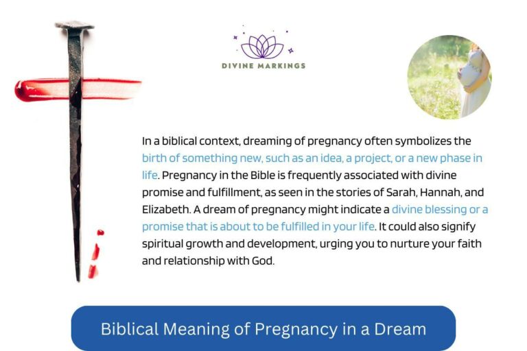 Biblical Meaning of Pregnancy Dreams