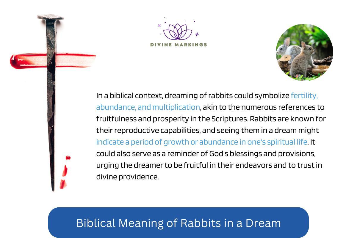 Biblical Meaning of Rabbits in The Dream