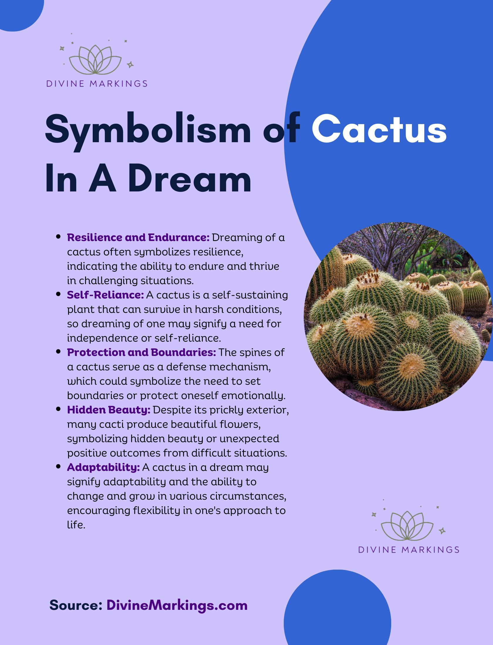 Symbolism of Cactus  In A Dream Infographic