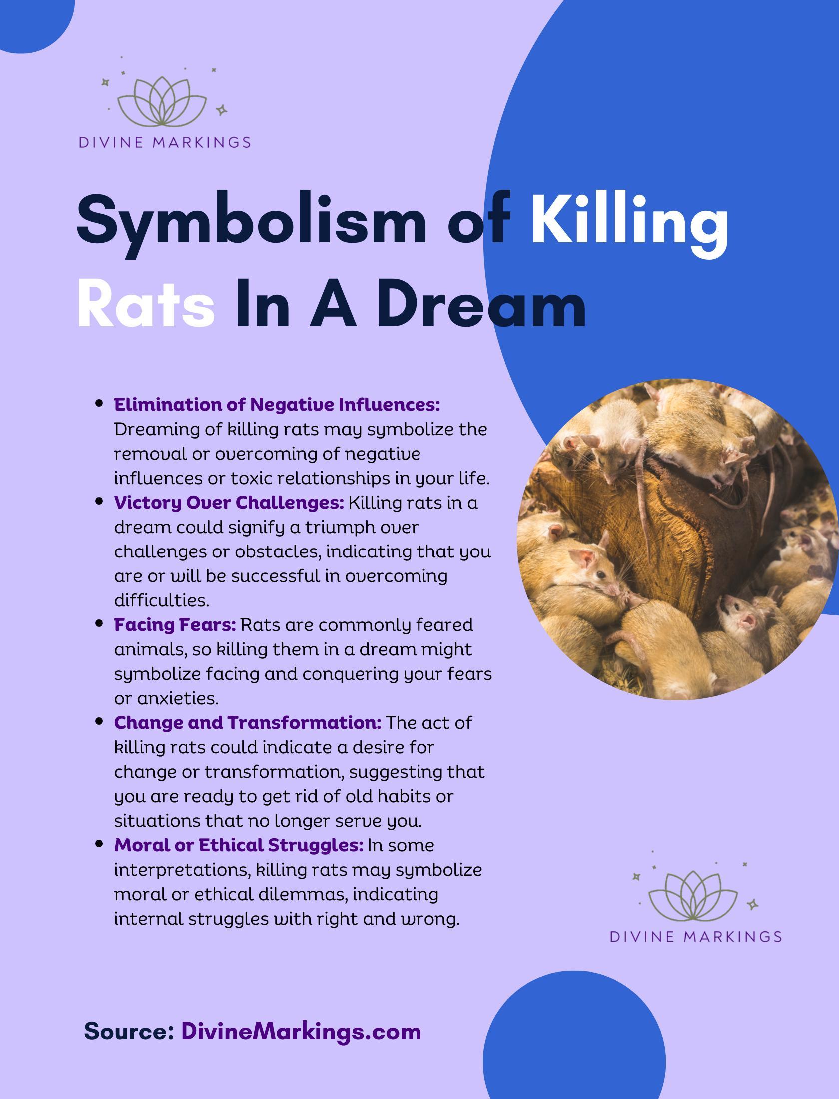 Symbolism of Killing Rats  In A Dream Infographic