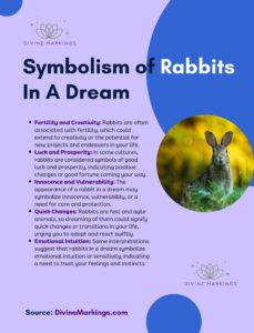 Biblical Meaning of Rabbits in Dreams