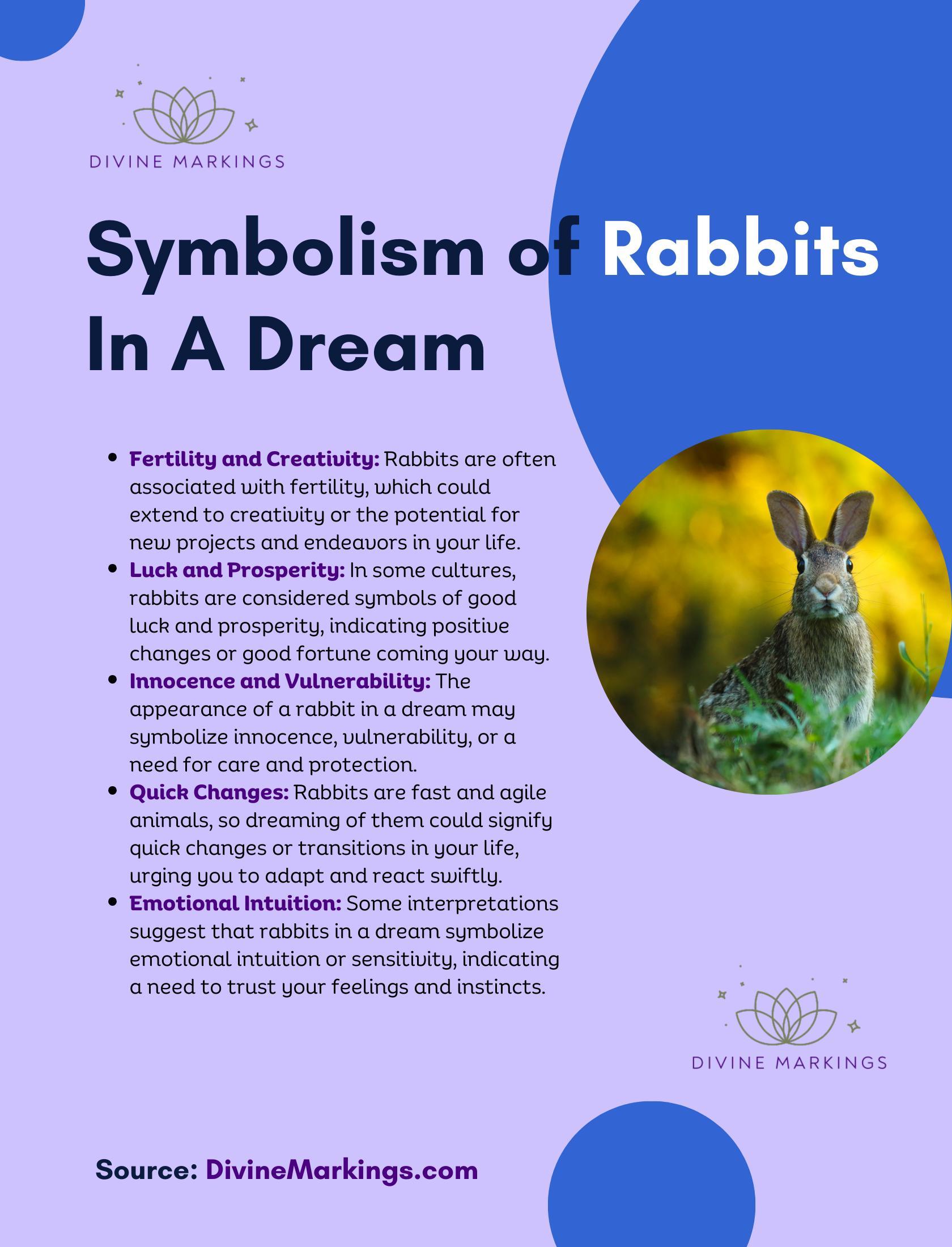 Symbolism of Rabbits In A Dream Infographic