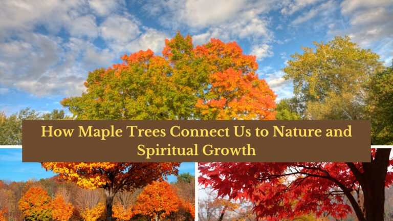 Maple Tree Spiritual Meaning: Deep Roots in Symbolism and Serenity