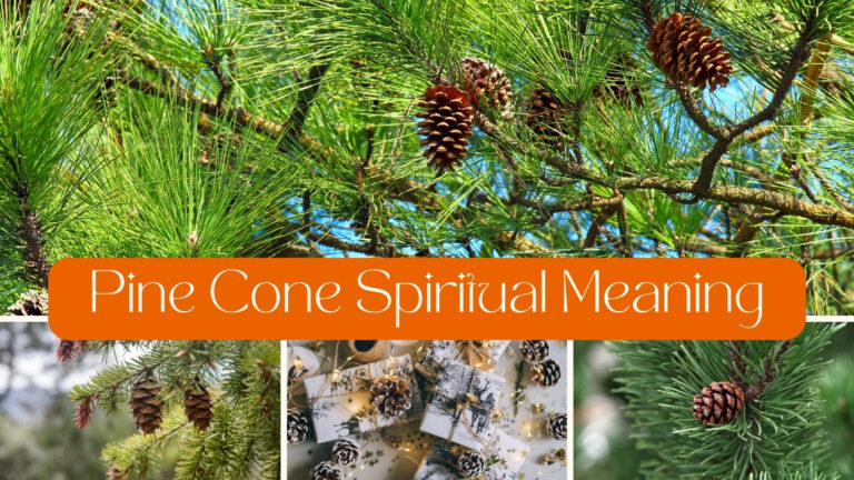 Pine Cone Spiritual Meaning: Unlocking Ancient Symbolism and Wisdom