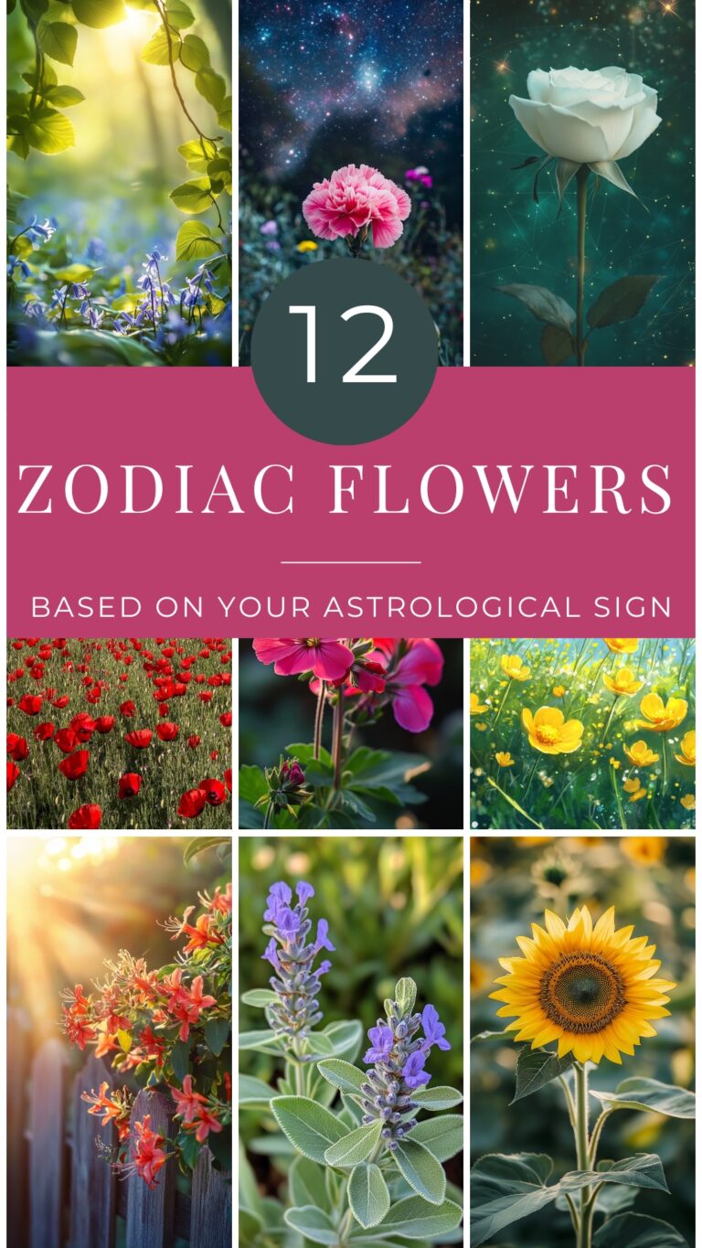 12 Zodiac Flowers Based on Your Astrological Sign: Discover Your Bloom Match