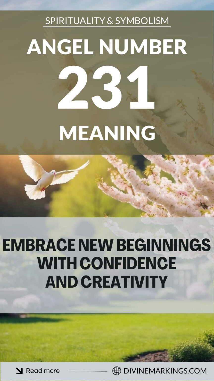 231 Angel Number Meaning: [Spirituality And Symbolism]