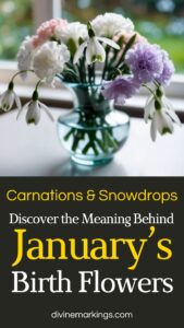 January Birth Flowers: Carnations and Snowdrops