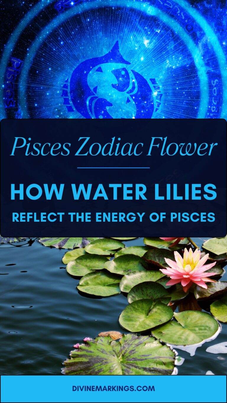 Pisces Zodiac Flower: Water Lily Symbolism and Significance