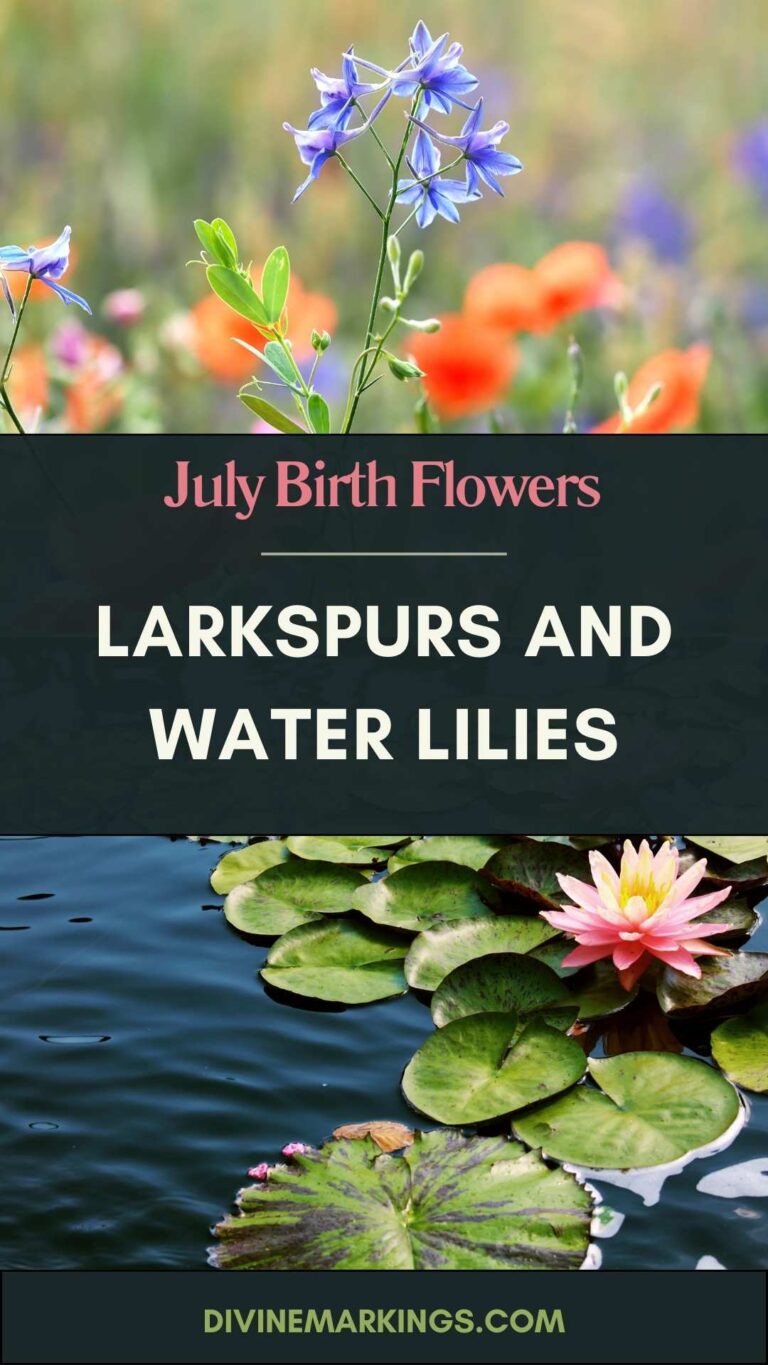 July Birth Flowers: Discover the Charm of Larkspurs and Water Lilies