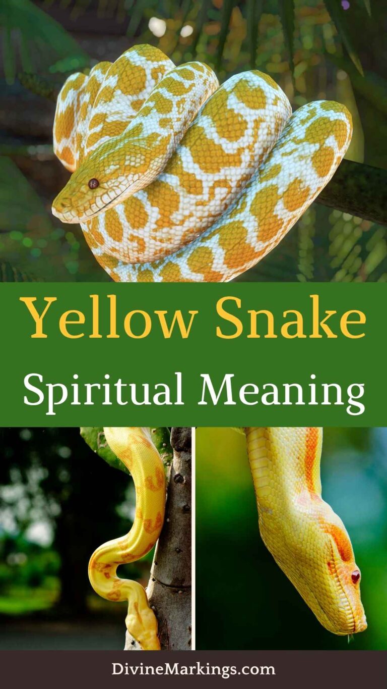 Yellow Snake Spiritual Meaning: [Spirituality & Symbolism]