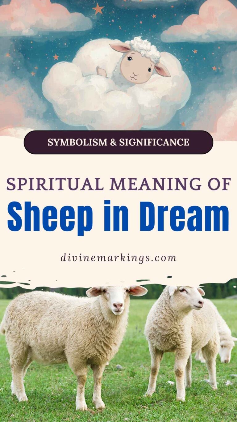 Spiritual Meaning of Sheep in Dream