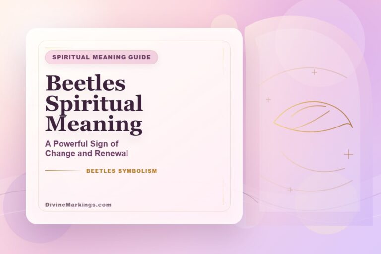 Beetles Spiritual Meaning featured image for Beetles Spiritual Meaning: [Symbolism & Significance]