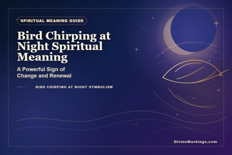 Bird Chirping at Night Spiritual Meaning featured image for Bird Chirping at Night Spiritual Meaning: Unveiling Mystical Insights