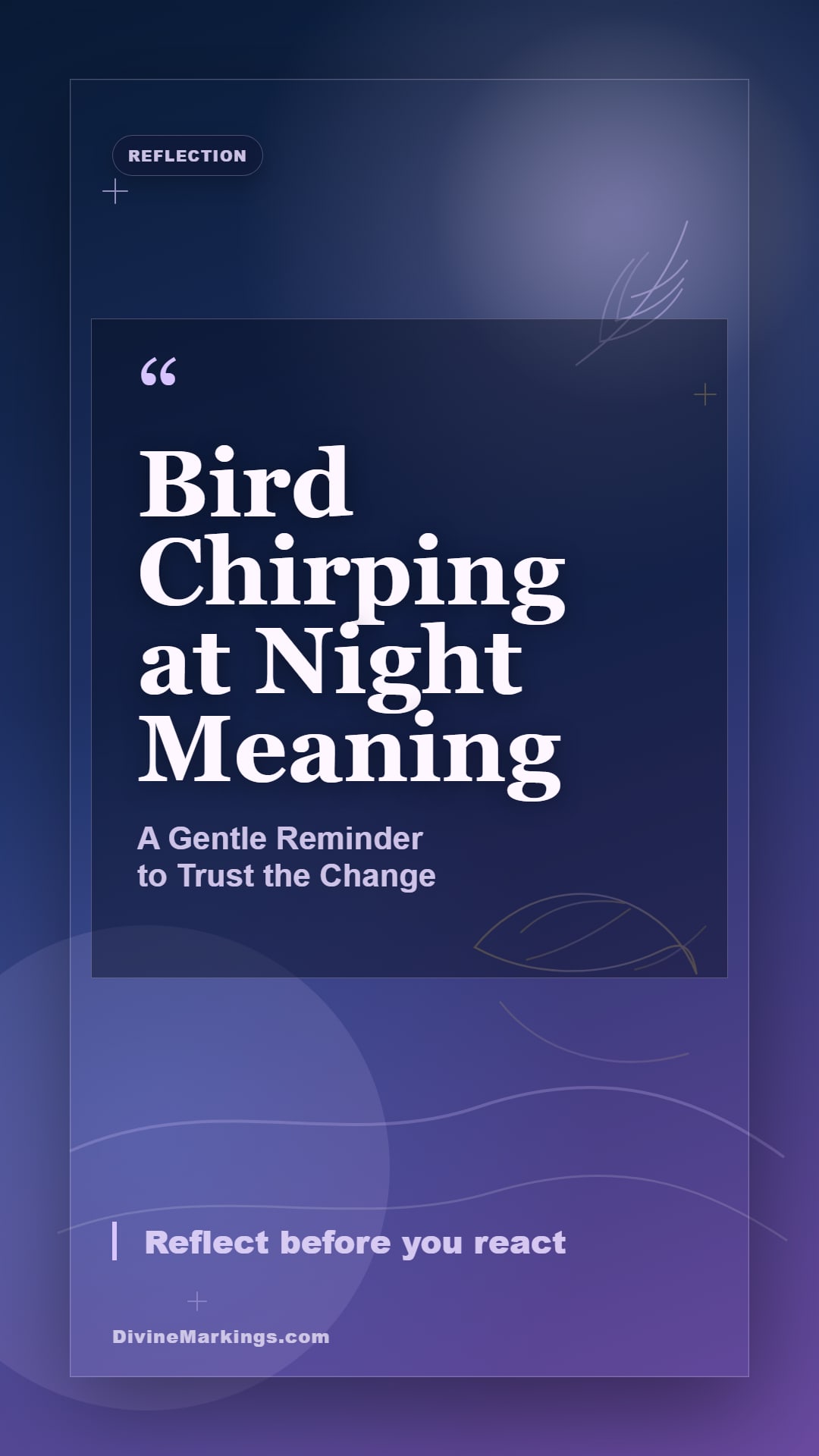 Bird Chirping at Night Meaning spiritual reflection story image for Bird Chirping at Night Spiritual Meaning: Unveiling Mystical Insights