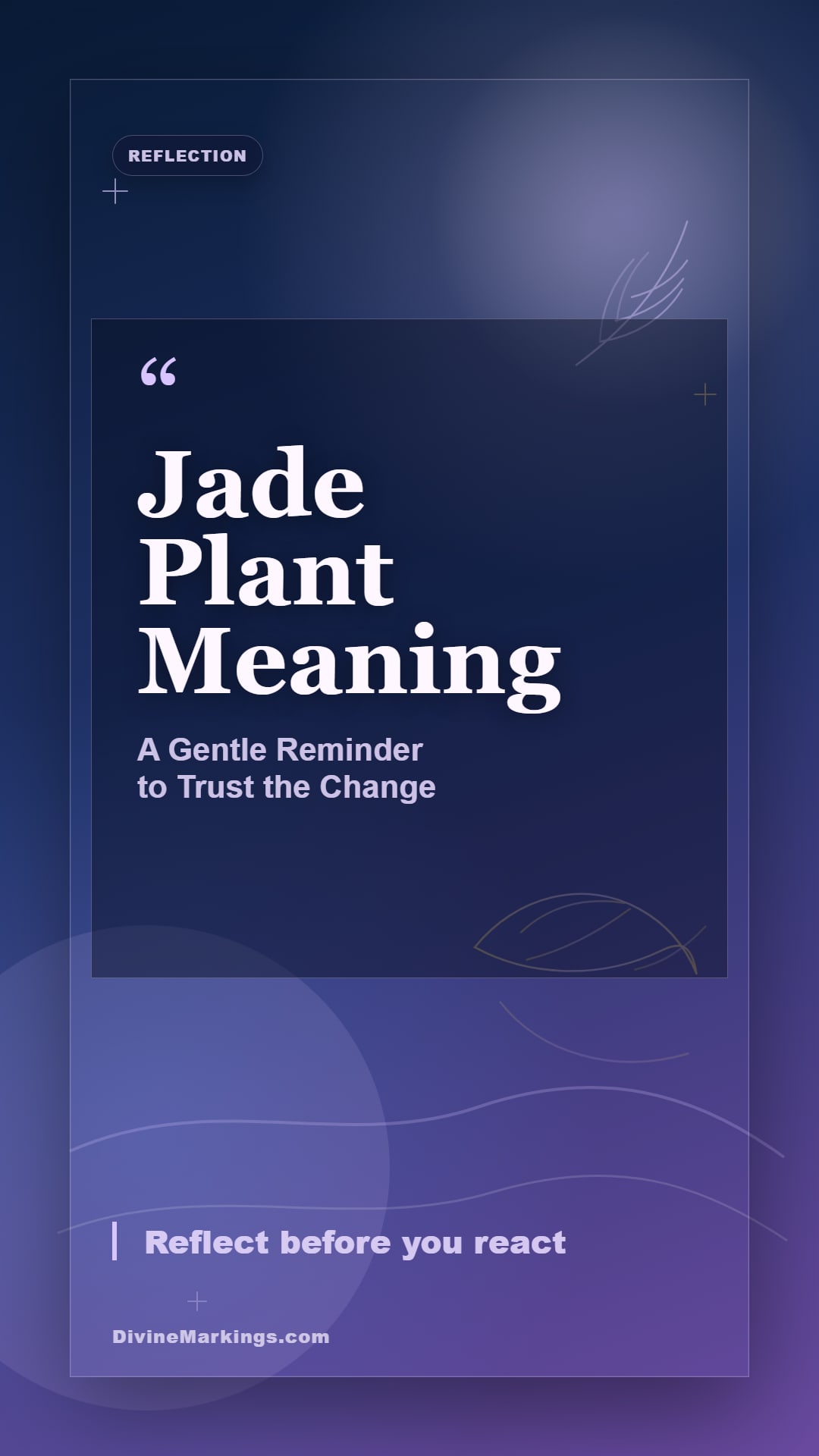 Jade Plant Meaning spiritual reflection story image for Jade Plant Spiritual Meaning: Discovering Prosperity and Good Luck