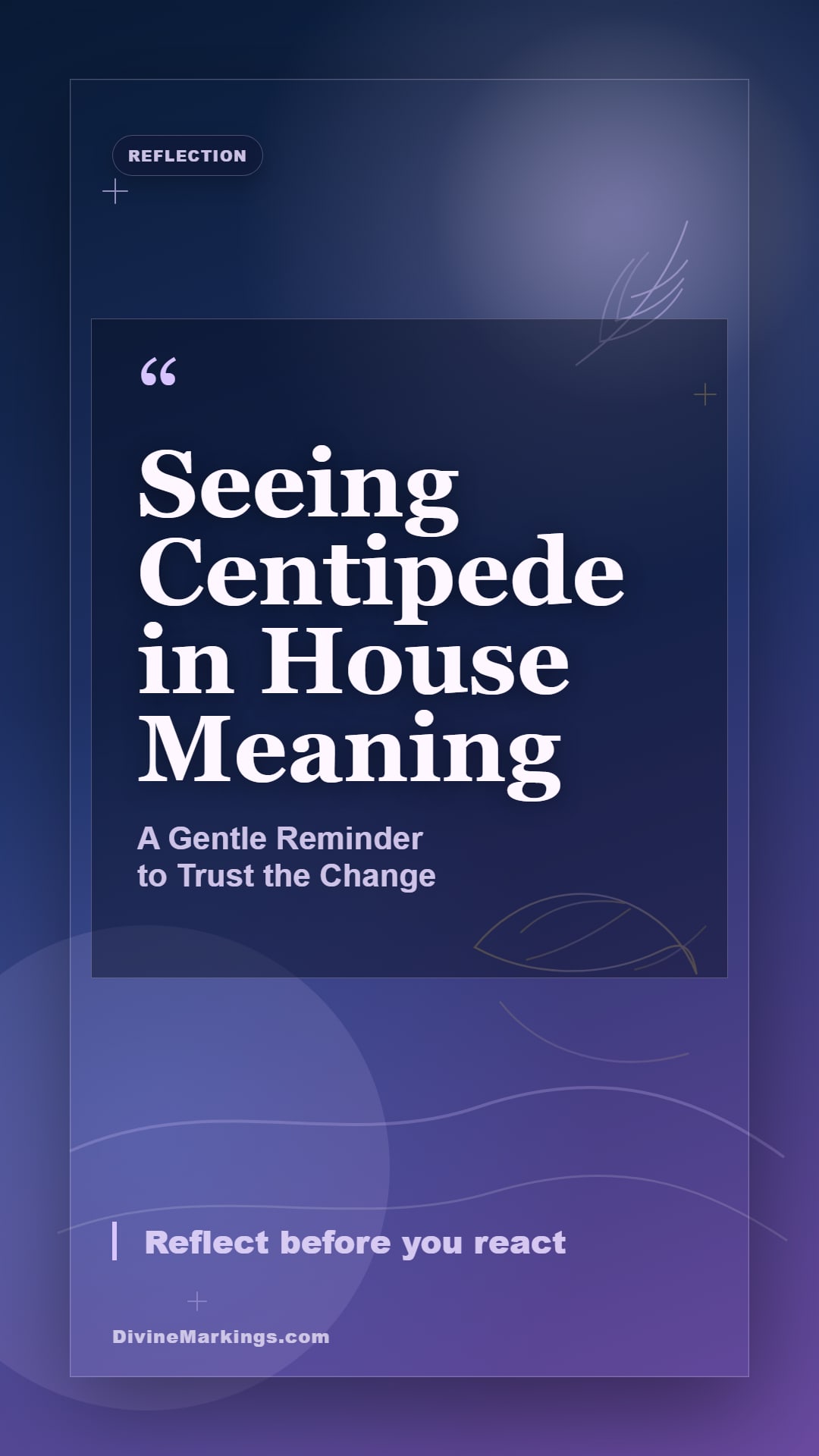 Seeing Centipede in House Meaning spiritual reflection story image for Spiritual Meaning of Seeing Centipede in House: [Symbolism & Significance]