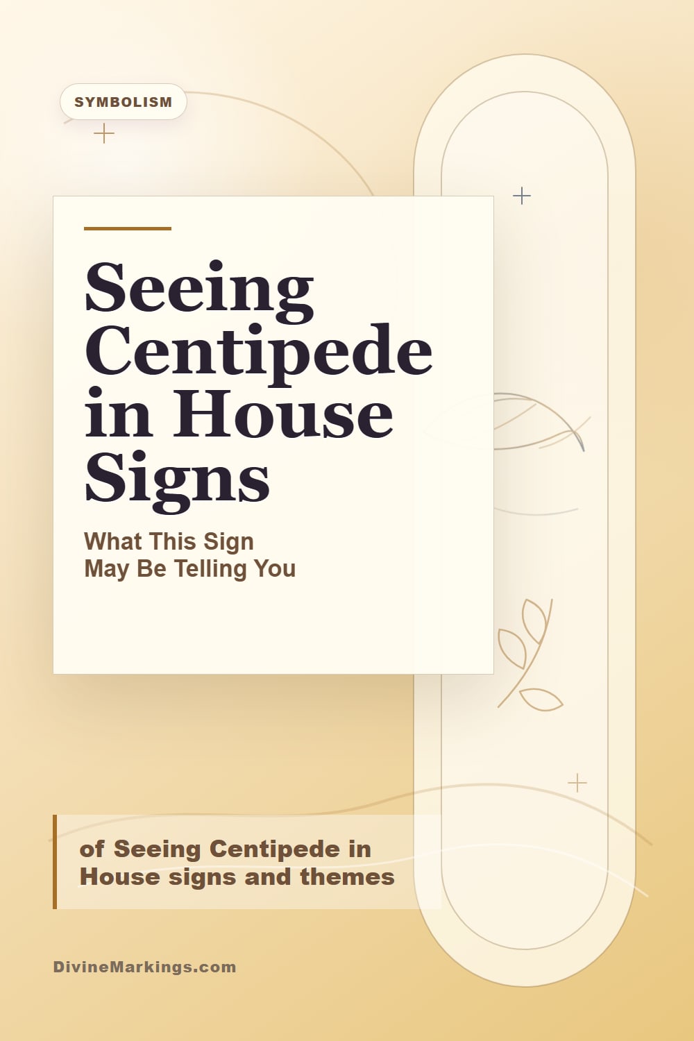 Seeing Centipede in House Signs biblical symbolism Pinterest image for Spiritual Meaning of Seeing Centipede in House: [Symbolism & Significance]